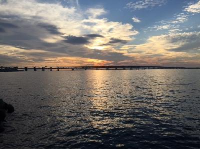 アジをさがしに