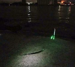 太刀魚　ウキ釣り　