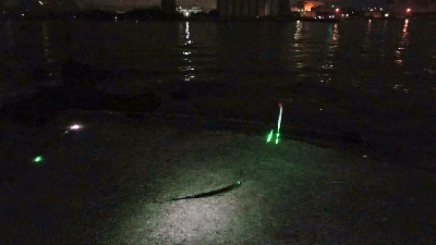 太刀魚　ウキ釣り　