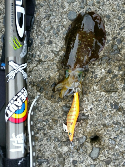 ミニアオリに囲まれて