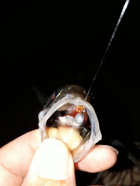 いい感じアジング