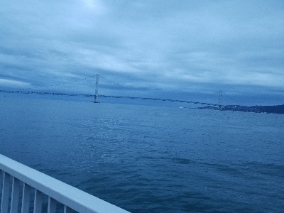 青物求めて連戦