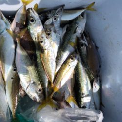 朝にラッシュあり