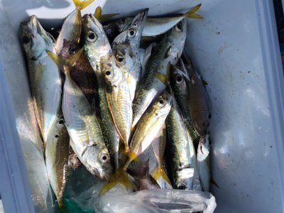 朝にラッシュあり