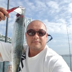 タイラバ&ジギング