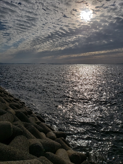 今シーズン初タチウオ釣行