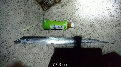 あたりはあるけど