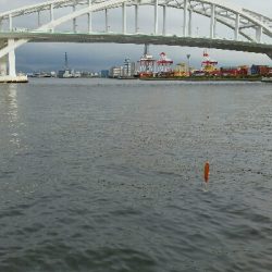 舞洲ショアジギング