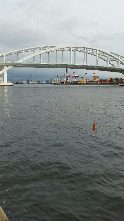 舞洲ショアジギング