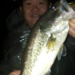 3カ月ぶりに琵琶湖