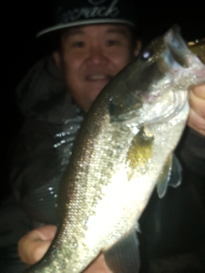 3カ月ぶりに琵琶湖