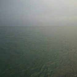 太刀魚一回り成長