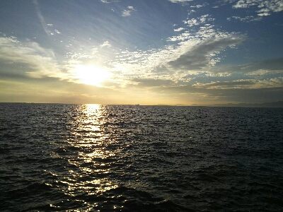 太刀魚はどこ？