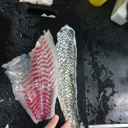 コスモで落とし込み