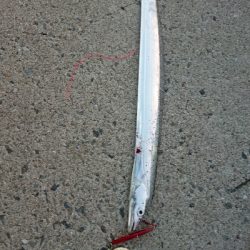 テクニカル刀狩り