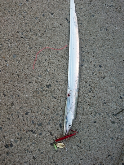 テクニカル刀狩り