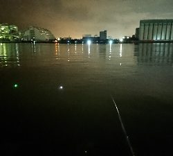 今シーズンの初タチ釣行