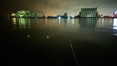 今シーズンの初タチ釣行