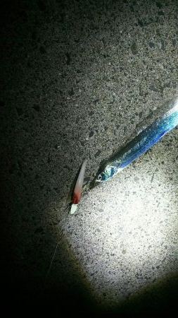 ベルトサイズ…