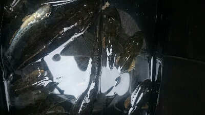 台風前に・・・