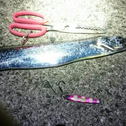 ダブル‼つ抜け(^^)vｯ