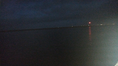 太刀魚のはずがサバ祭り