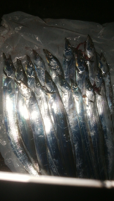 小雨の中ぽつぽつと(￣0￣)