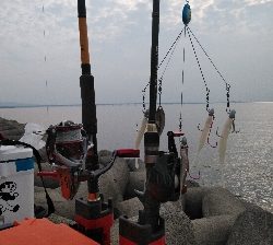 復活のアラバマン!