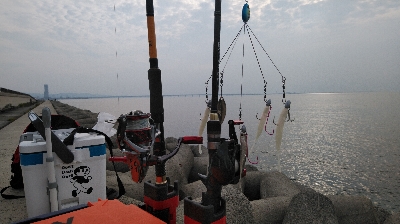 復活のアラバマン!