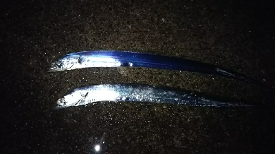 気候が良くなってきました