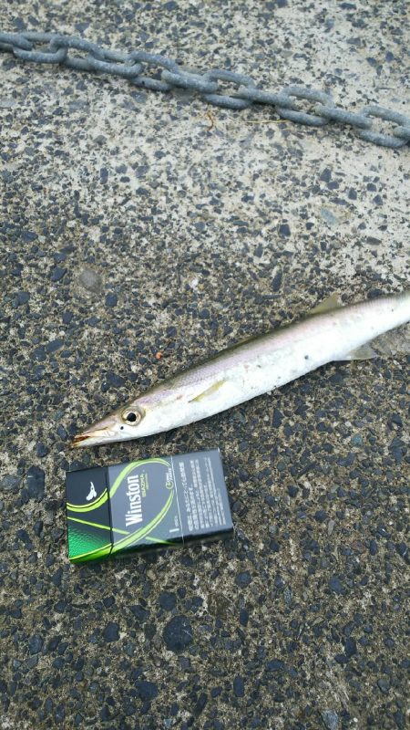 まさか、キミか・・・