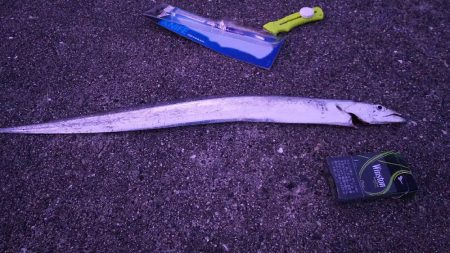 ポートアイランド沖堤防