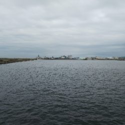 アジからのタチウオ