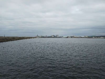 アジからのタチウオ