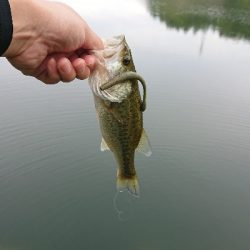 リザーバー釣行