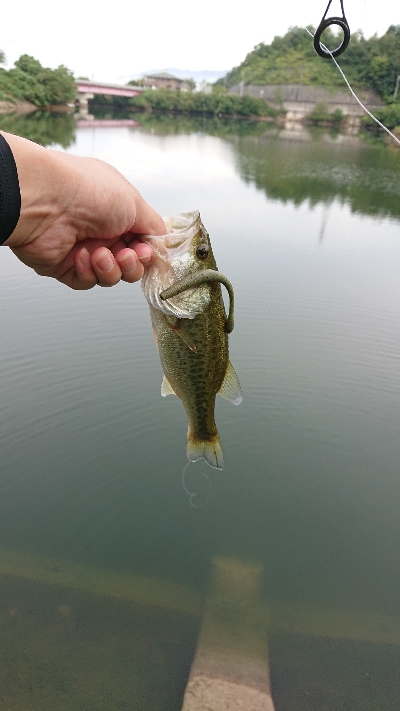 リザーバー釣行