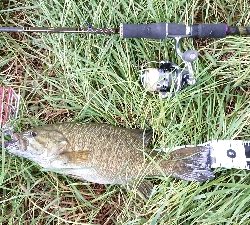 まさかのスモール