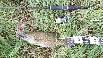 まさかのスモール