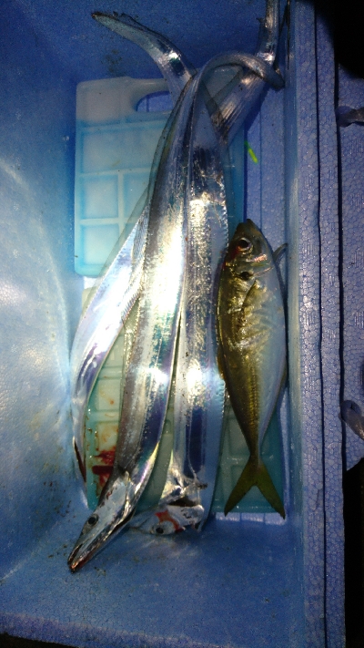 タチウオ・アジ