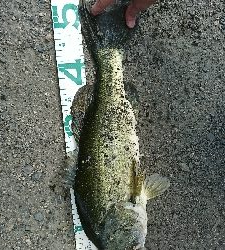 諦めかけたその時