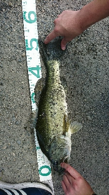 諦めかけたその時