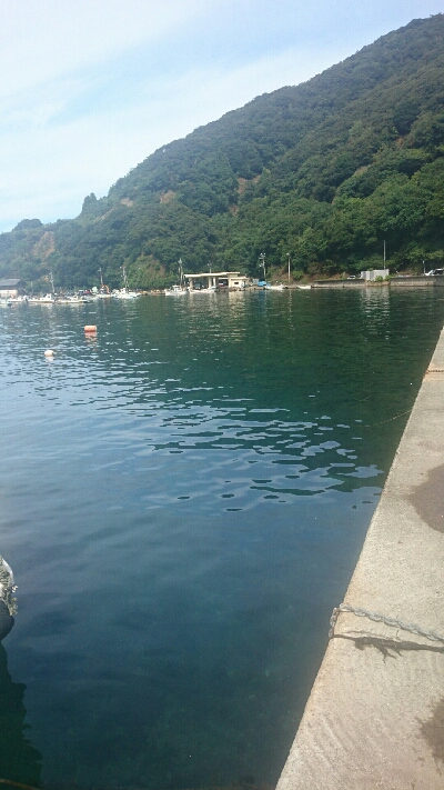 アオリイカは、不発。でも