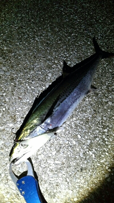 好調のはずが…