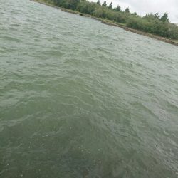 久しぶりの投稿です