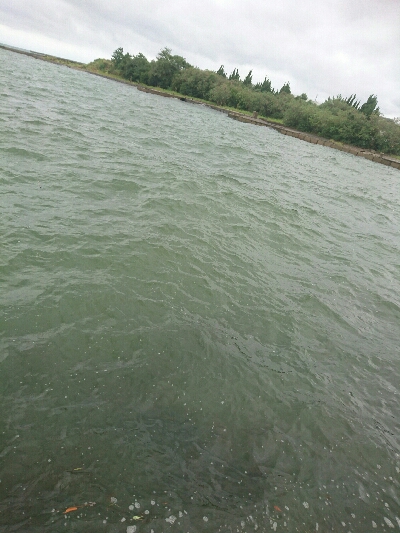 久しぶりの投稿です