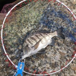 曇天で雰囲気バツグン！