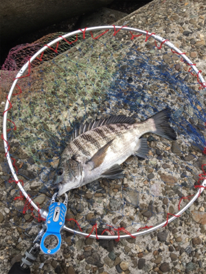 曇天で雰囲気バツグン！