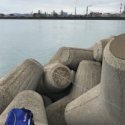 雨の止み間に穴釣り