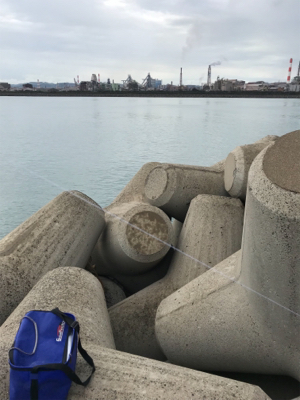 雨の止み間に穴釣り