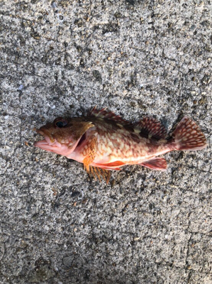 ライトゲーム！